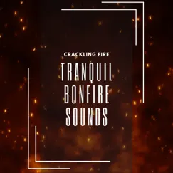 Tranquil Bonfire Sounds by Crackling Fire, Mother Nature Sound FX & Nature Recordings album reviews, ratings, credits