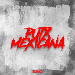 Puta Mexicana (Aleteo) [Remix] Song Lyrics