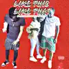 Like This Like That (feat. YMBChace & Jayda Afendi) - Single album lyrics, reviews, download