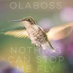 Nothing Can Stop Me Fly (Live) Song Lyrics