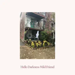 Hello Darkness Mild Friend - EP by David Shaw album reviews, ratings, credits