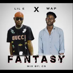 Fantasy (feat. Lil E) - Single by Waplife album reviews, ratings, credits