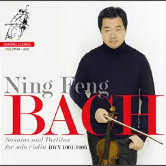 Violin Sonata No. 2 in A Minor, BWV 1003: III. Andante Song Lyrics