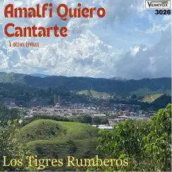 Amalfi Quiero Cantarte y Otros Temas - Single by Los Tigres Rumberos album reviews, ratings, credits
