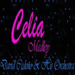 Celia Medley - Single by David Cedeño album reviews, ratings, credits