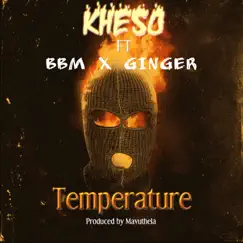 Temperature (feat. BBM & Ginger) Song Lyrics