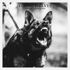 Young Wolves Song Lyrics