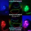 Enchantment Everywhere - Single album lyrics, reviews, download