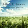 Mindfulness - Background Music to Calm the Mind album lyrics, reviews, download