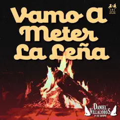 Vamo a Meter la Leña - Single by Daniel Villalobos y Su Grupo album reviews, ratings, credits