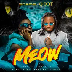 Meow (feat. Qdot) Song Lyrics