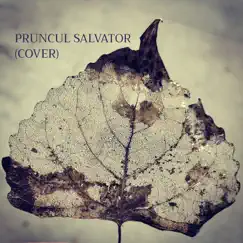 Pruncul Salvator - Single by Silo Quartet album reviews, ratings, credits