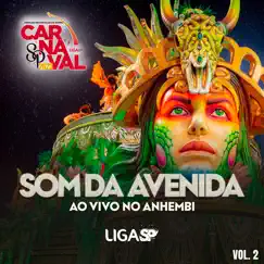 Som da Avenida ao Vivo no Anhembi, Vol. 2 (Ao Vivo) by Liga Carnaval SP album reviews, ratings, credits