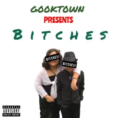 Bitches! (feat. Grilla) - Single by G00KT0WN album reviews, ratings, credits