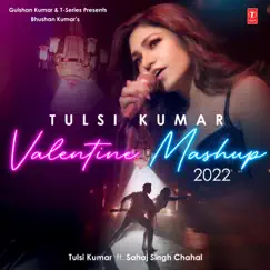 Tulsi Kumar Valentine Mashup 2022 Song Lyrics