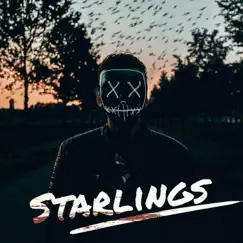 Starlings (Uncreated Remix) Song Lyrics