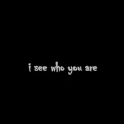 I See Who You Are - Single by Lil Barberi album reviews, ratings, credits