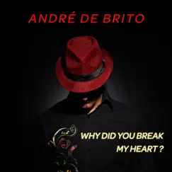Why Did You Break My Heart? Song Lyrics