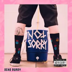 Not Sorry Song Lyrics