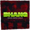 Bhaang (feat. Ron Likhari & Prnce Sidhu) - Single album lyrics, reviews, download