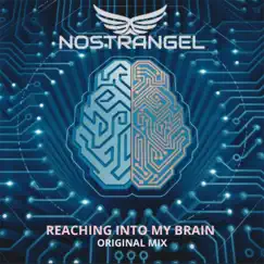 Reaching into My Brain - Single by Nostrangel album reviews, ratings, credits