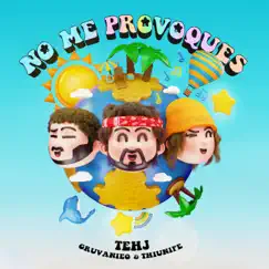 NO ME PROVOQUES (feat. Thiunifé) Song Lyrics