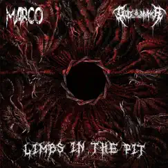 Limbs In the Pit (feat. God Mvker & Pxlsdead) - Single by Marco album reviews, ratings, credits