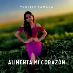 Alimenta Mi Corazón - Single by Yoselin Tamara album reviews, ratings, credits
