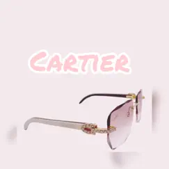 Cartier (feat. DayDayDaRapper & GTaylorJB) Song Lyrics