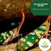 God Gift Mother Nature - 2020 Nature Music Collection album lyrics, reviews, download