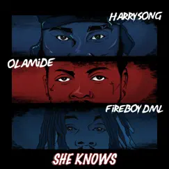She Knows (feat. Fireboy DML & Olamide) - Single by Harrysong album reviews, ratings, credits