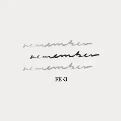 Remember - Single by Feki album reviews, ratings, credits