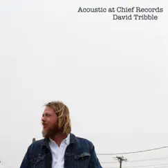 Acoustic at Chief Records - EP by David Tribble album reviews, ratings, credits