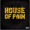 House of Pain (feat. Swifty McVay & JRoberts) - Single album lyrics, reviews, download