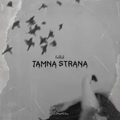 Tamna Strana - Single by Beblek album reviews, ratings, credits
