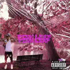 Pink Leaf by Daymonn album reviews, ratings, credits