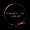 What Is Love (Sped up) - Single album lyrics, reviews, download