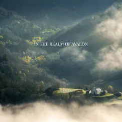 In the Realm of Avalon (Celtic Relaxation) by Catherine Green, Nawang Dautar & Tina Amalier album reviews, ratings, credits