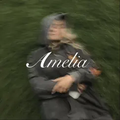 Amelia Song Lyrics