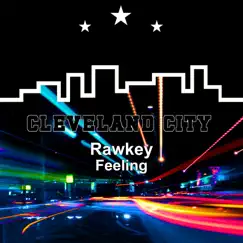Feeling - Single by Rawkey album reviews, ratings, credits