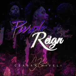 Purple Reign - Single by Ceasar Kiveli album reviews, ratings, credits