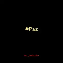 #Paz - Single by Mr Budunha album reviews, ratings, credits