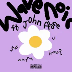 What U Wanna Know? (feat. John Alone) - Single by Wave Noir album reviews, ratings, credits