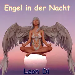 Engel in der Nacht (Ballade) Song Lyrics