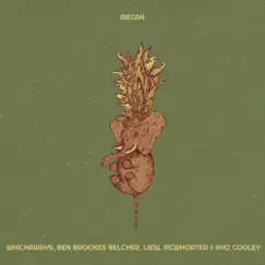 Megan - Single by WHICHAWAYS, Ben Brookes Belcher, Liesl McWhorter & Ayo Cooley album reviews, ratings, credits
