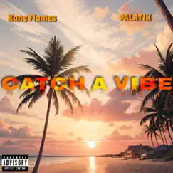CATCH a VIBE (feat. KANE FLAMES) - Single by Palatik album reviews, ratings, credits