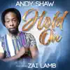 Hold On (feat. Zai Lamb) - Single album lyrics, reviews, download