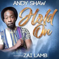 Hold On (feat. Zai Lamb) - Single by Andy Shaw album reviews, ratings, credits
