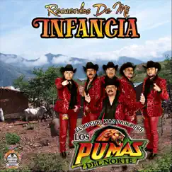 Recuerdos de Mi Infancia - Single by Los Pumas del Norte album reviews, ratings, credits