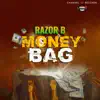 Money Bag - Single album lyrics, reviews, download